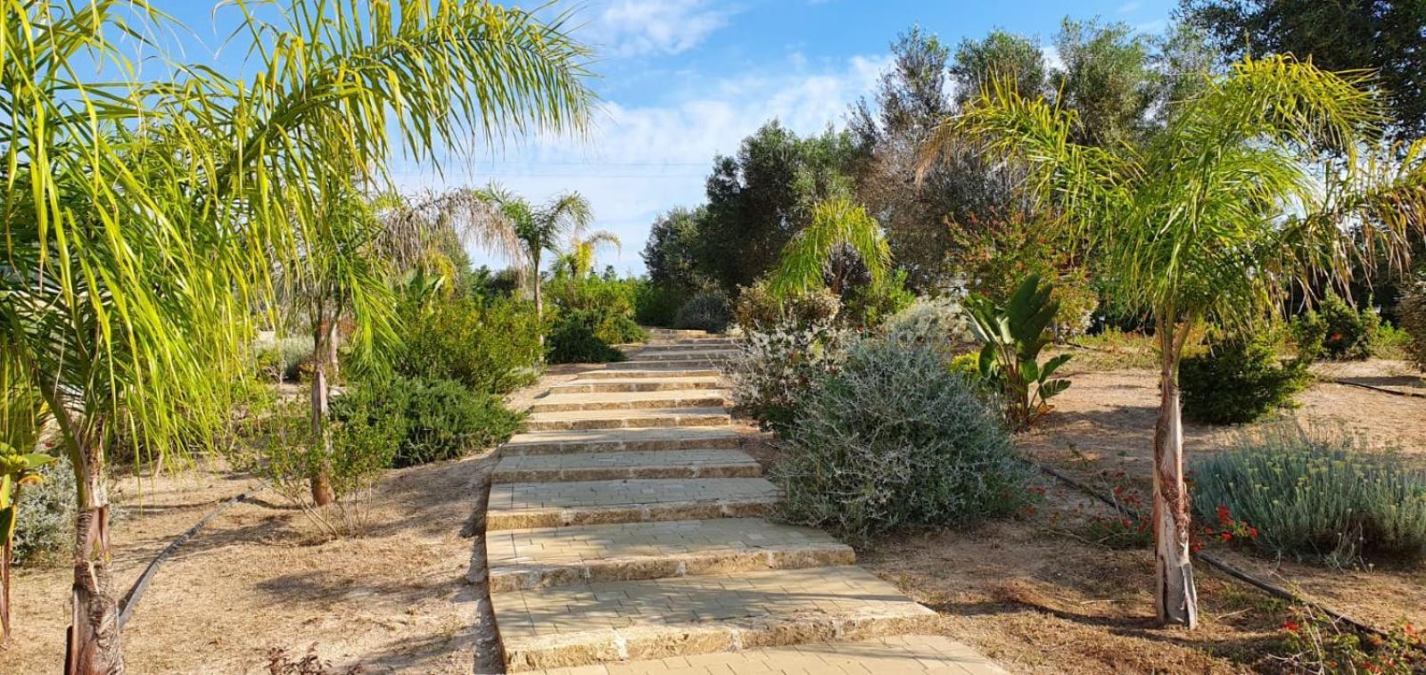 Agriturismo Tenuta Don Giovanni Melendugno Eksteriør bilde