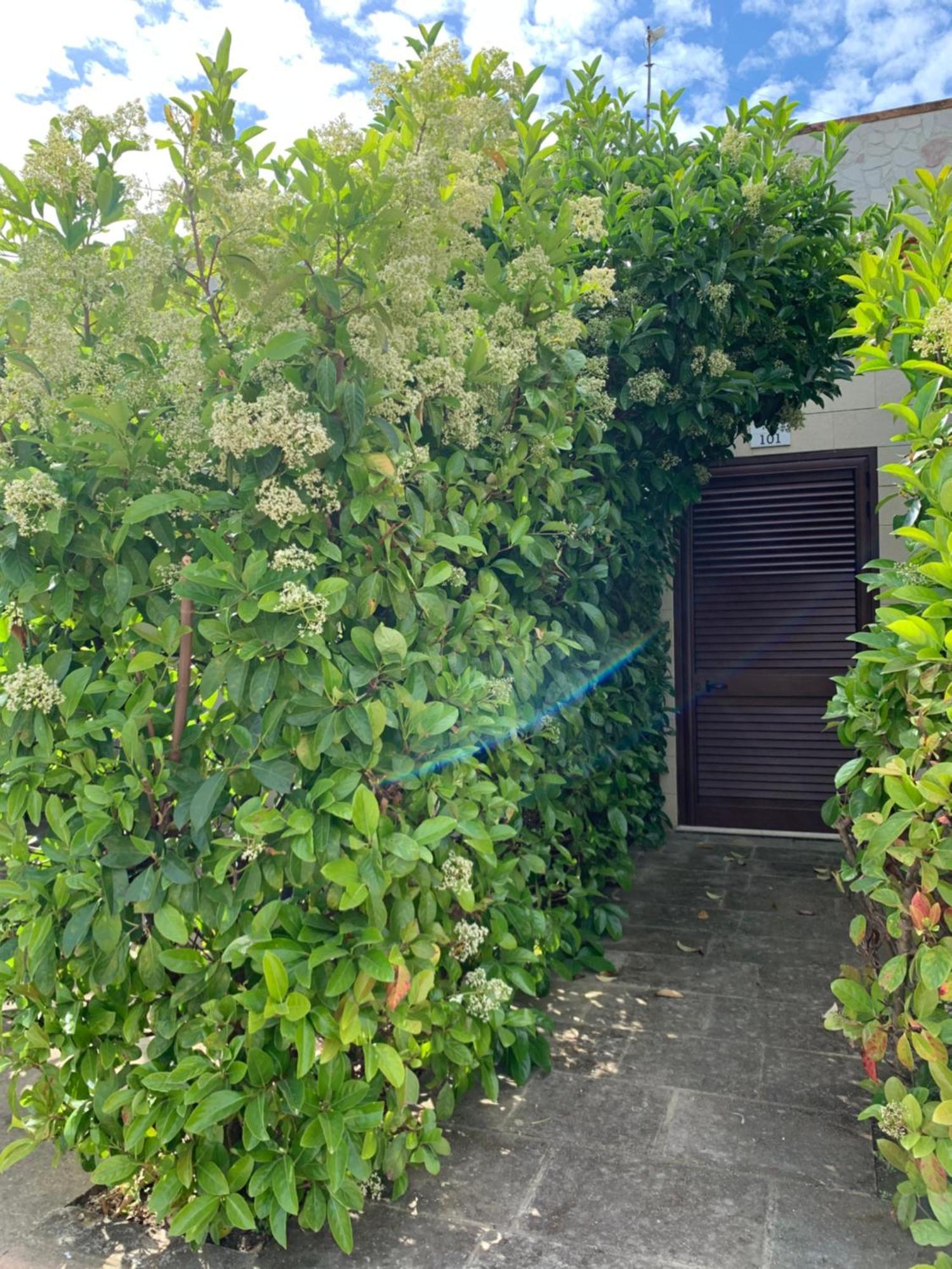 Agriturismo Tenuta Don Giovanni Melendugno Eksteriør bilde